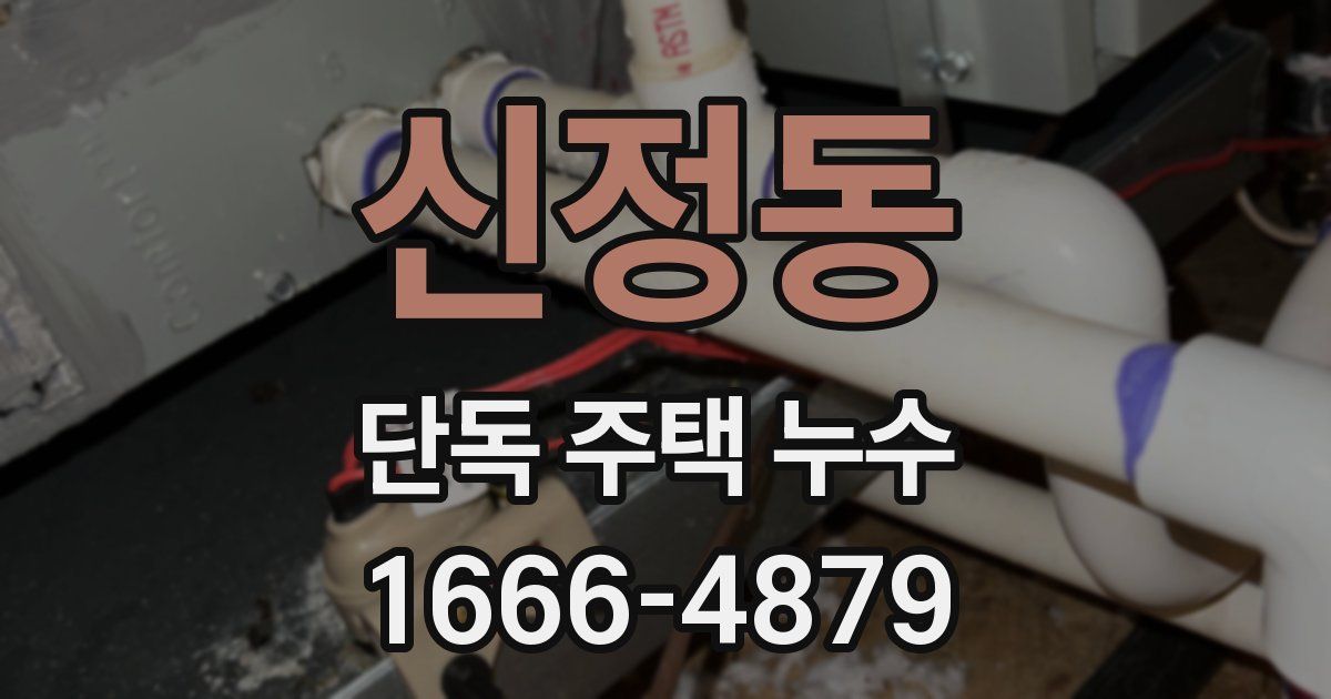신정동 단독 주택 누수