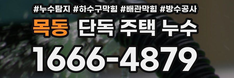 목동 단독 주택 누수