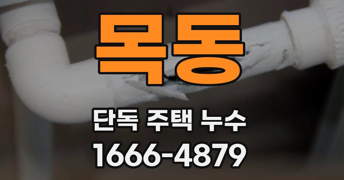 목동 단독 주택 누수