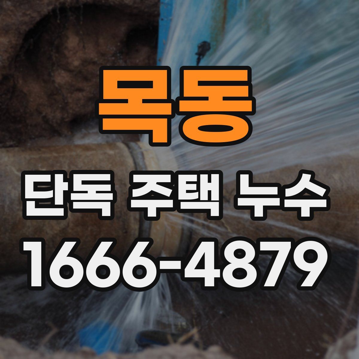 목동 단독 주택 누수