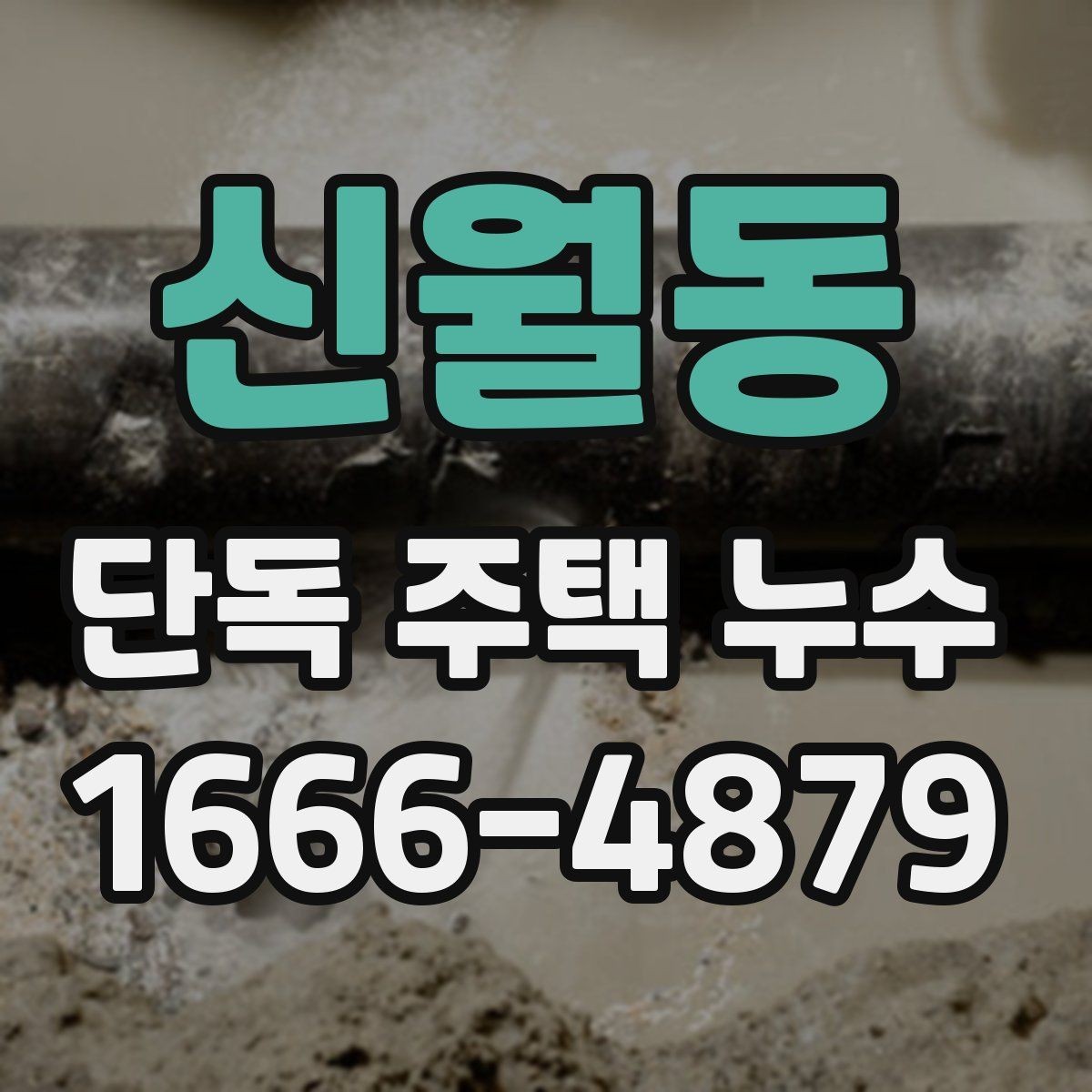 신월동 단독 주택 누수 실측 전 확인할 사항