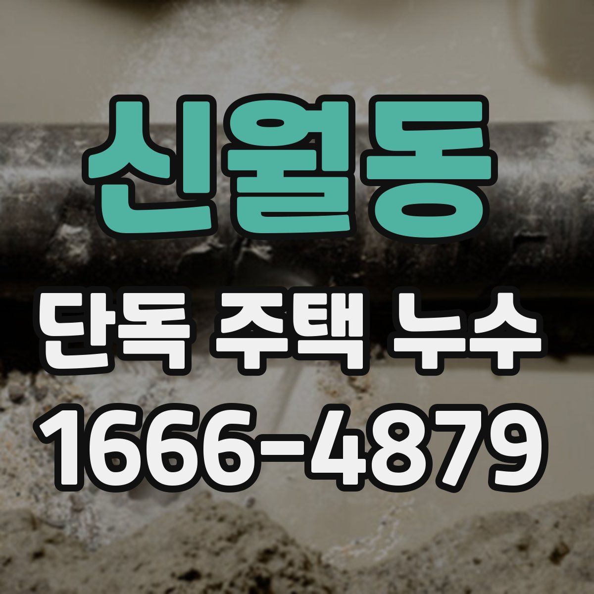 신월동 단독 주택 누수
