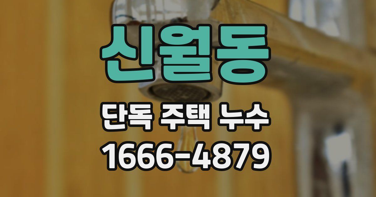 신월동 단독 주택 누수