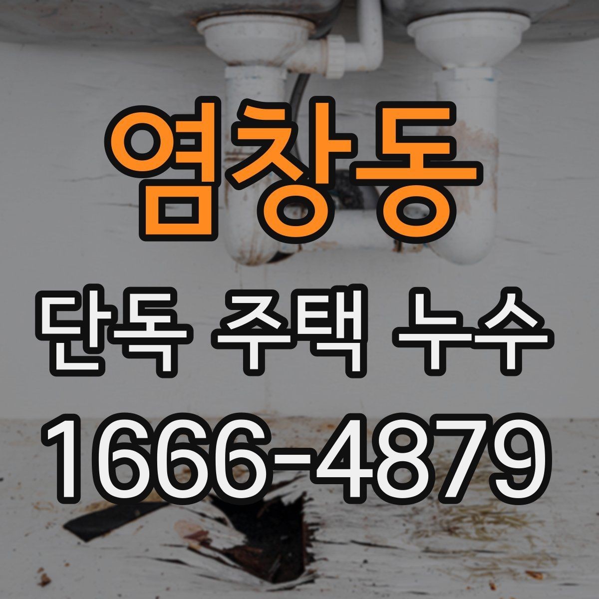 염창동 단독 주택 누수 외부 충격과 구조 손상 점검