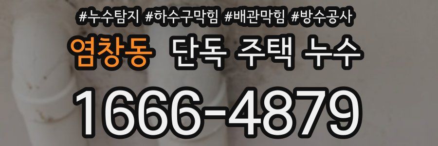 염창동 단독 주택 누수