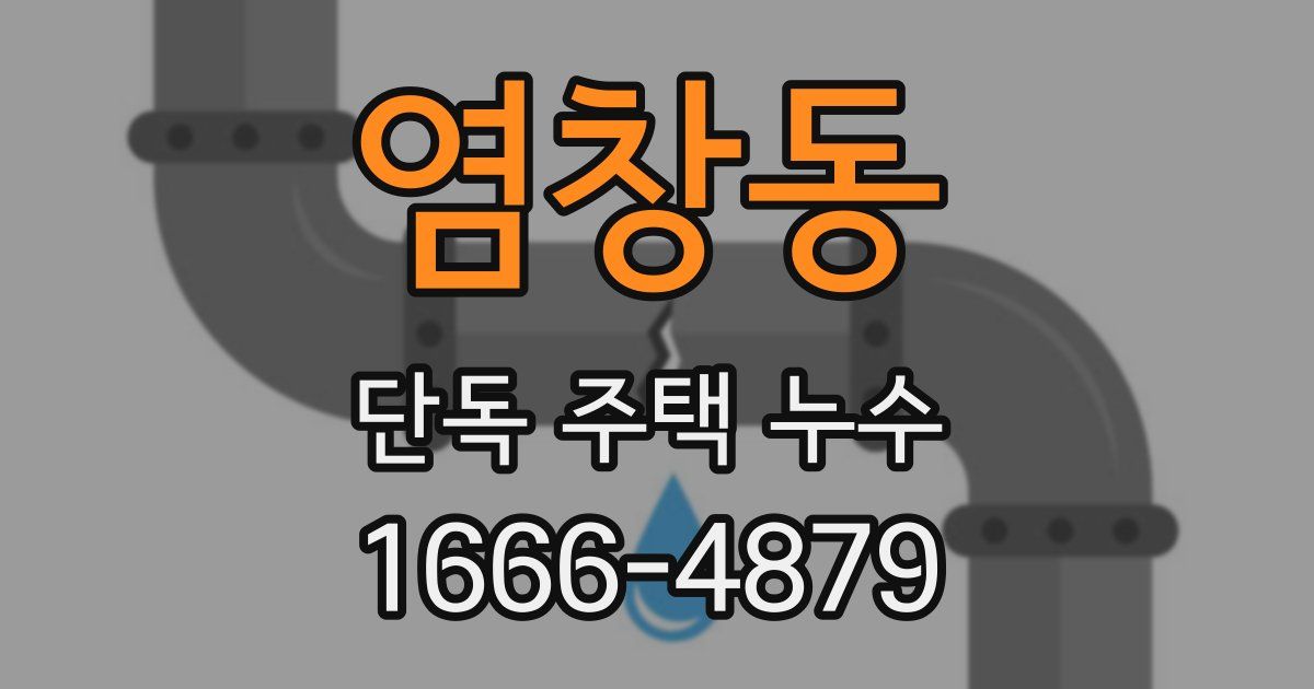 염창동 단독 주택 누수