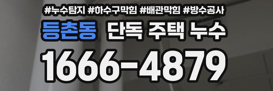 등촌동 단독 주택 누수
