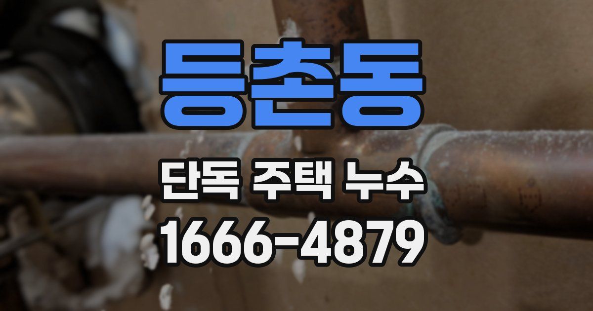 등촌동 단독 주택 누수