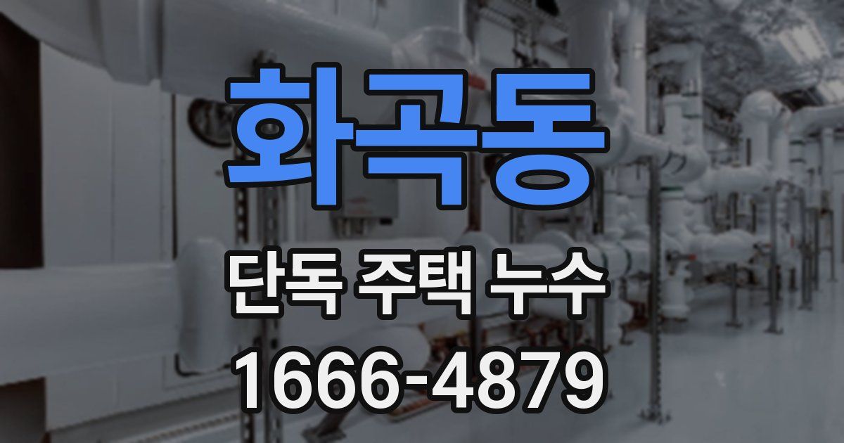 화곡동 단독 주택 누수