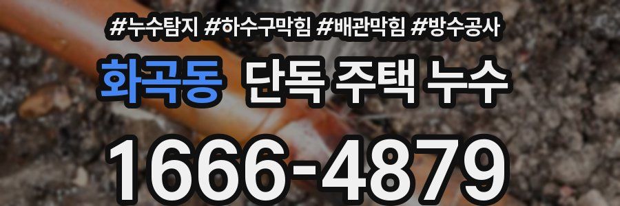 화곡동 단독 주택 누수