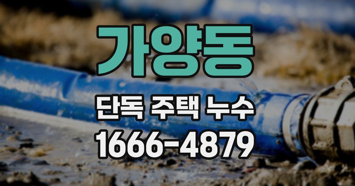 가양동 단독 주택 누수