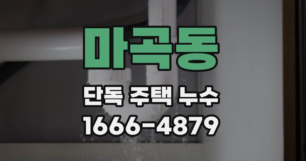 마곡동 단독 주택 누수