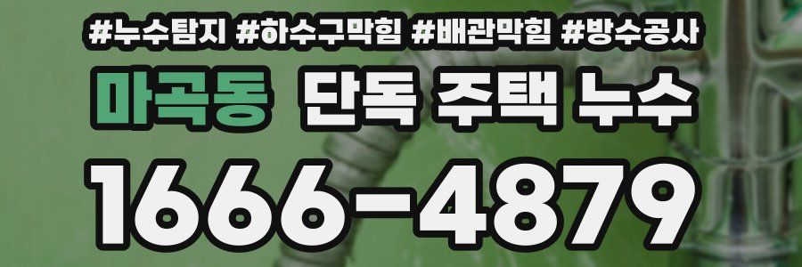 마곡동 단독 주택 누수