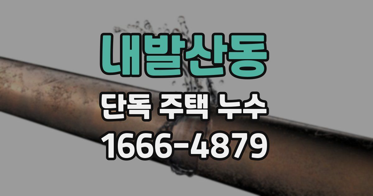 내발산동 단독 주택 누수
