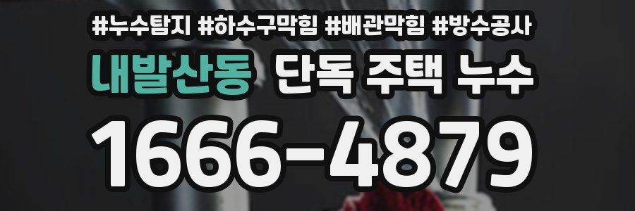 내발산동 단독 주택 누수