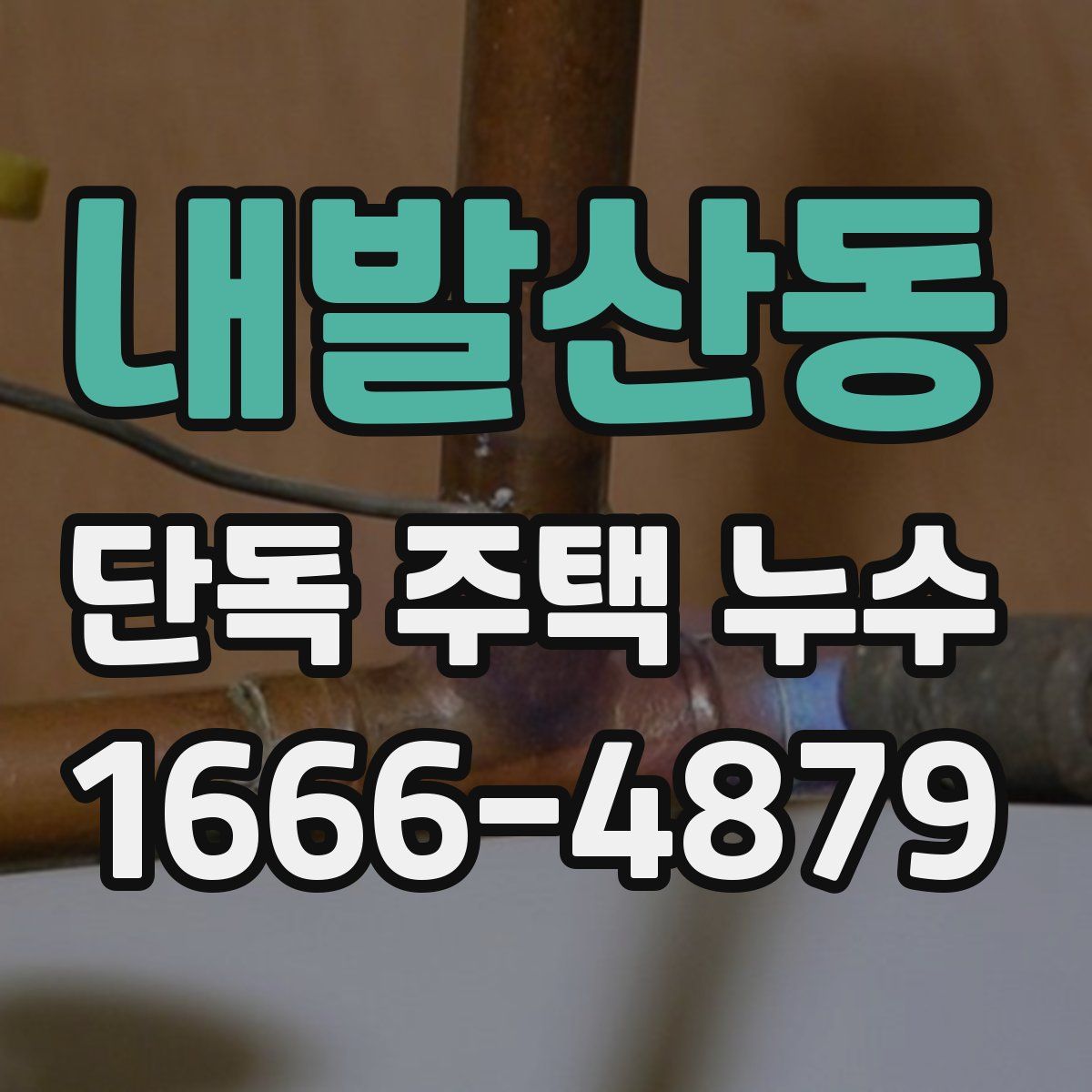 내발산동 단독 주택 누수