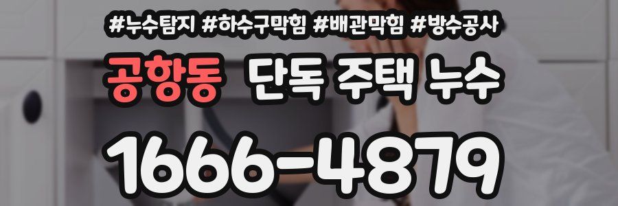 공항동 단독 주택 누수