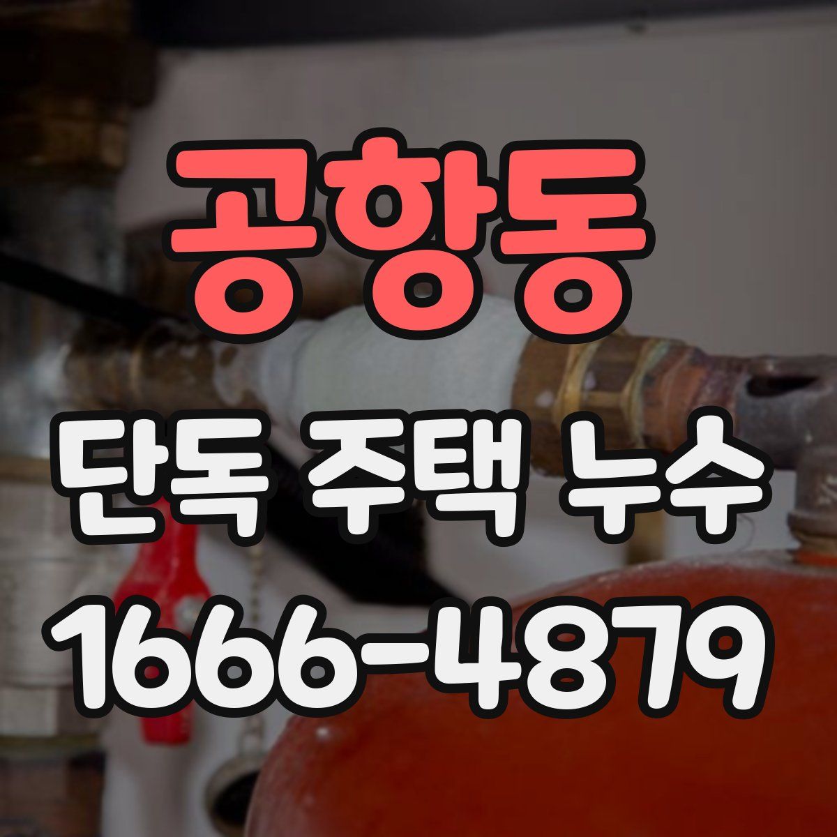 공항동 단독 주택 누수