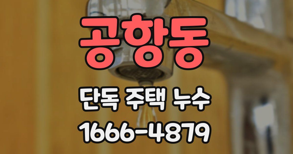 공항동 단독 주택 누수