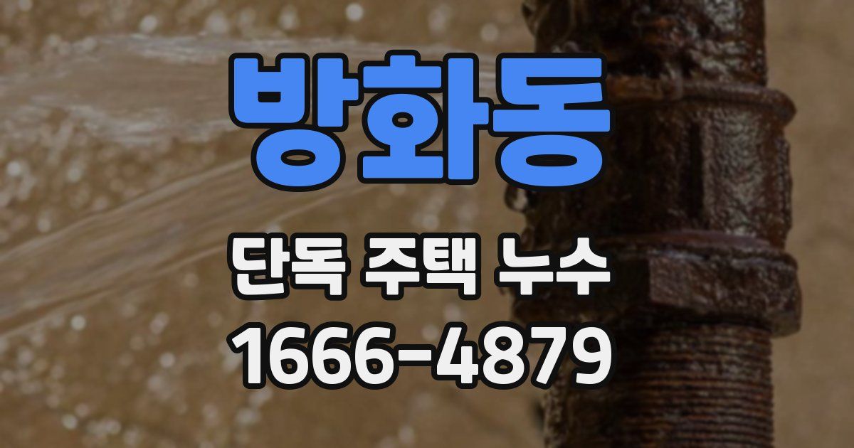 방화동 단독 주택 누수
