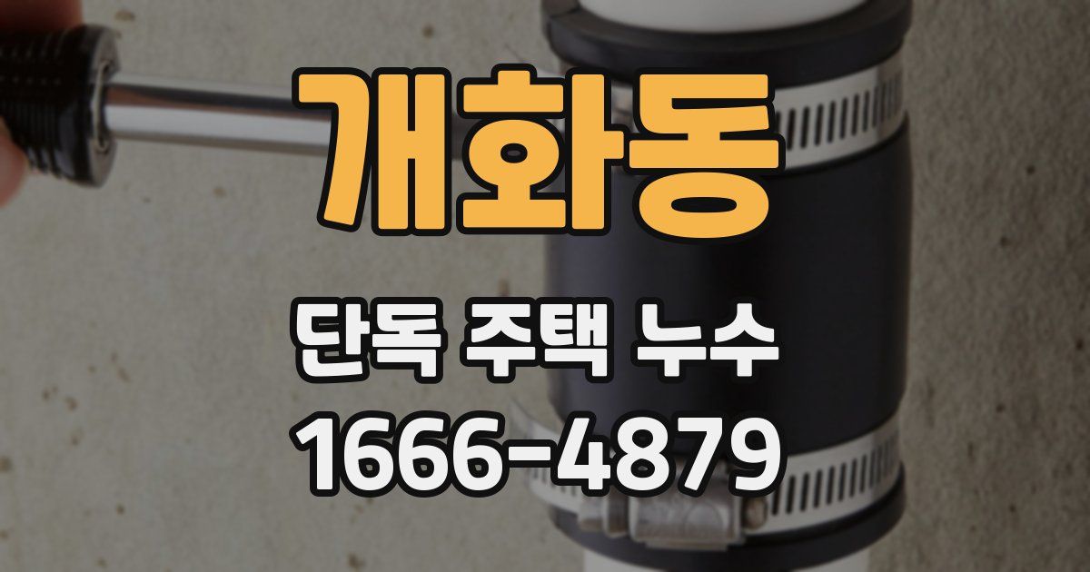 개화동 단독 주택 누수