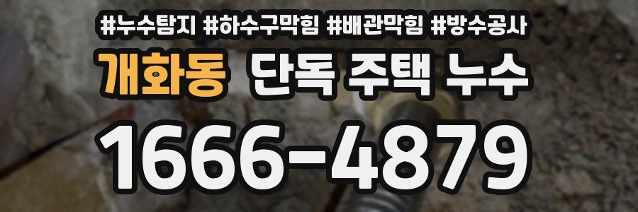 개화동 단독 주택 누수