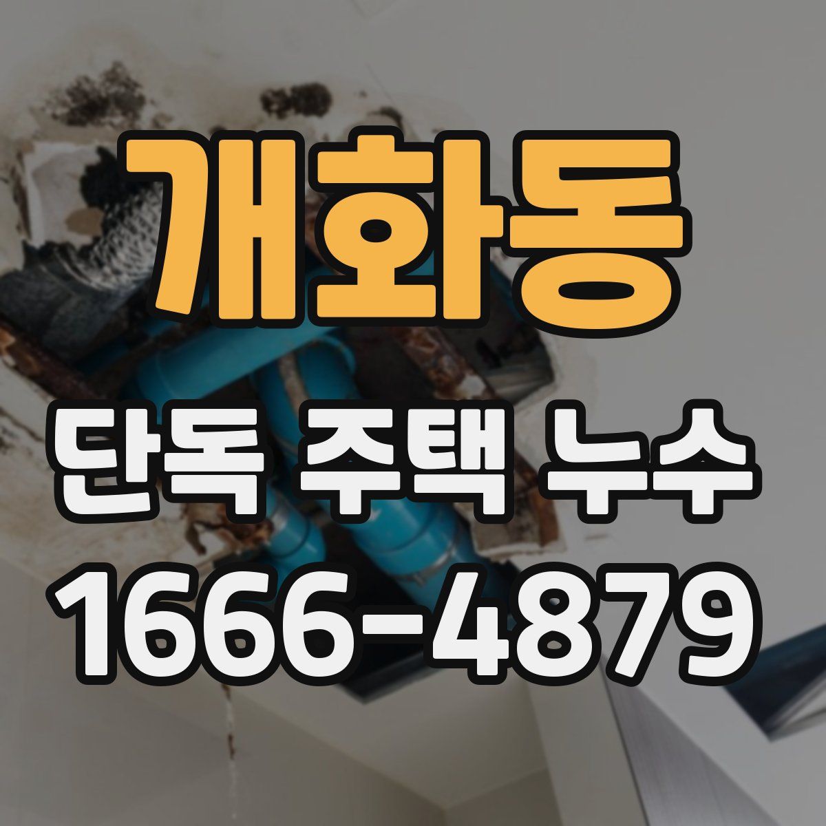 개화동 단독 주택 누수