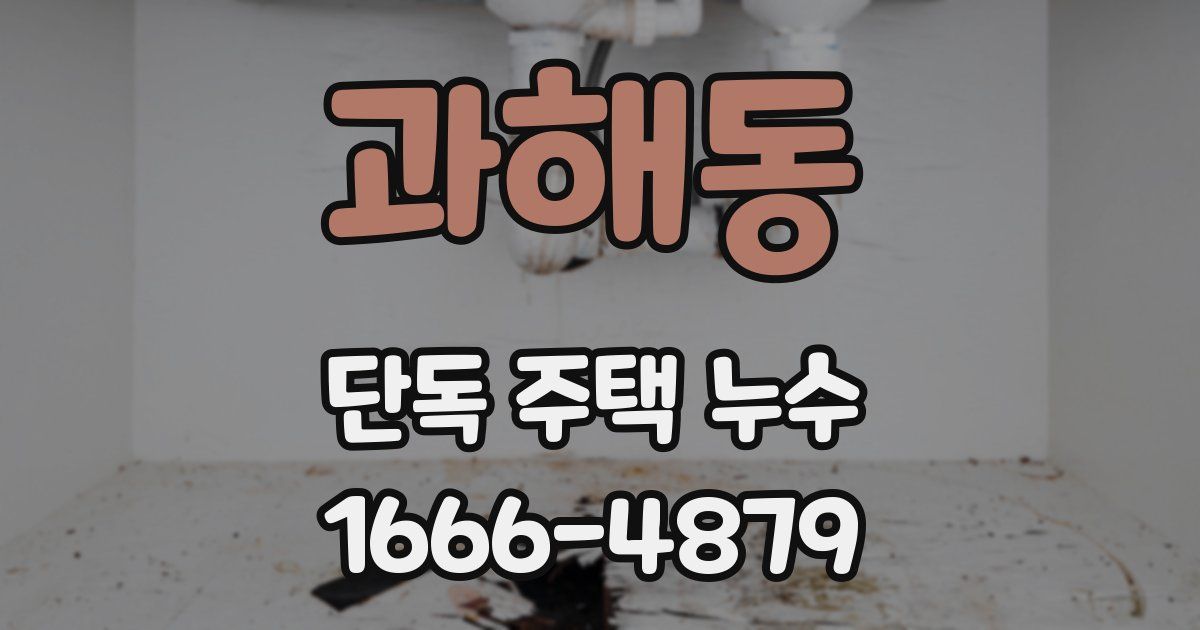 과해동 단독 주택 누수