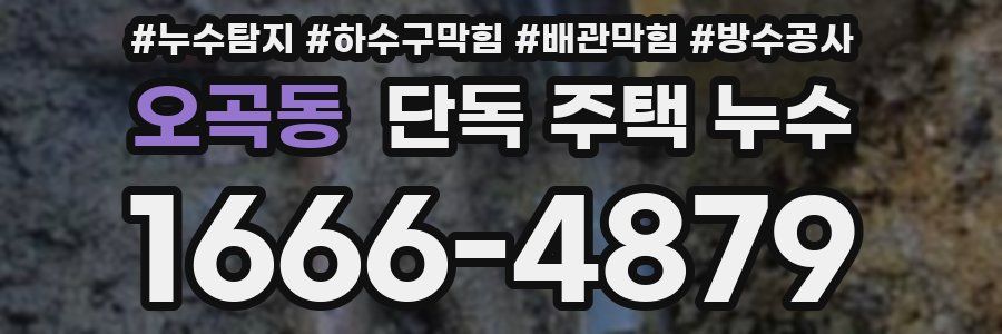 오곡동 단독 주택 누수
