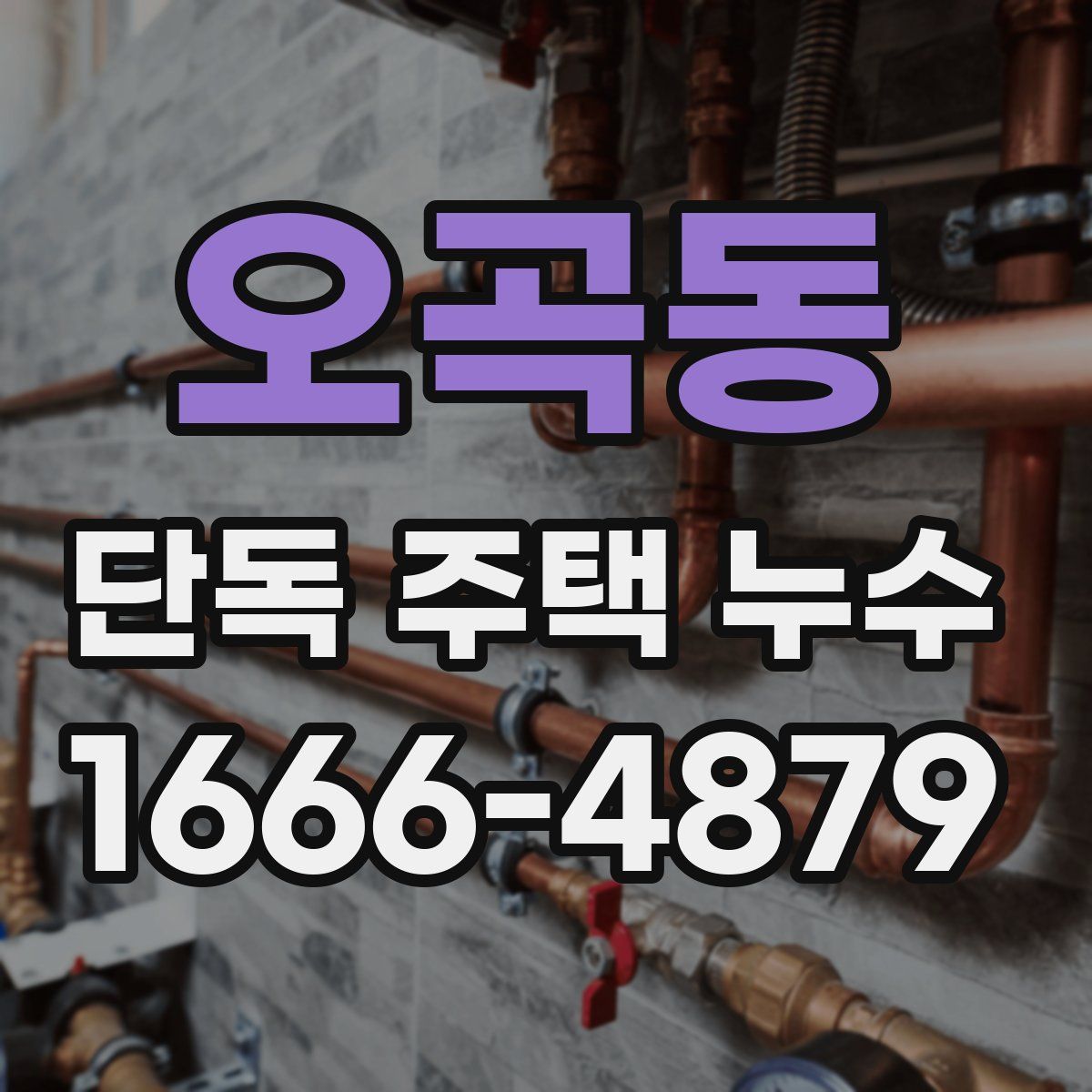 오곡동 단독 주택 누수