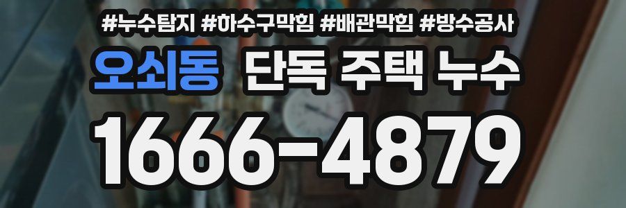 오쇠동 단독 주택 누수