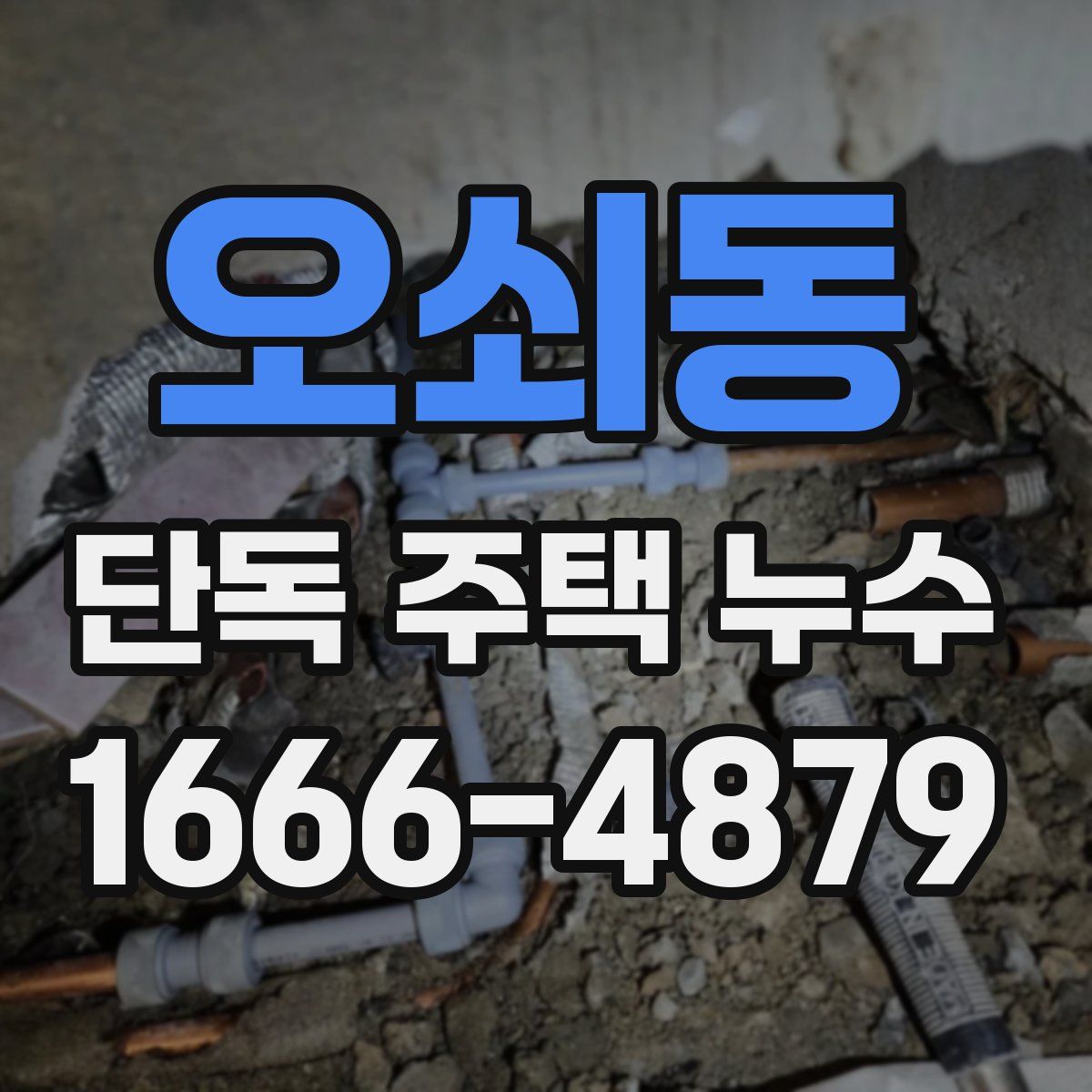 오쇠동 단독 주택 누수