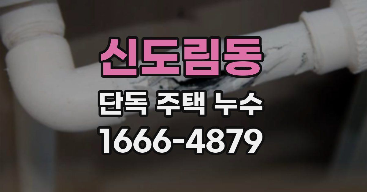 신도림동 단독 주택 누수