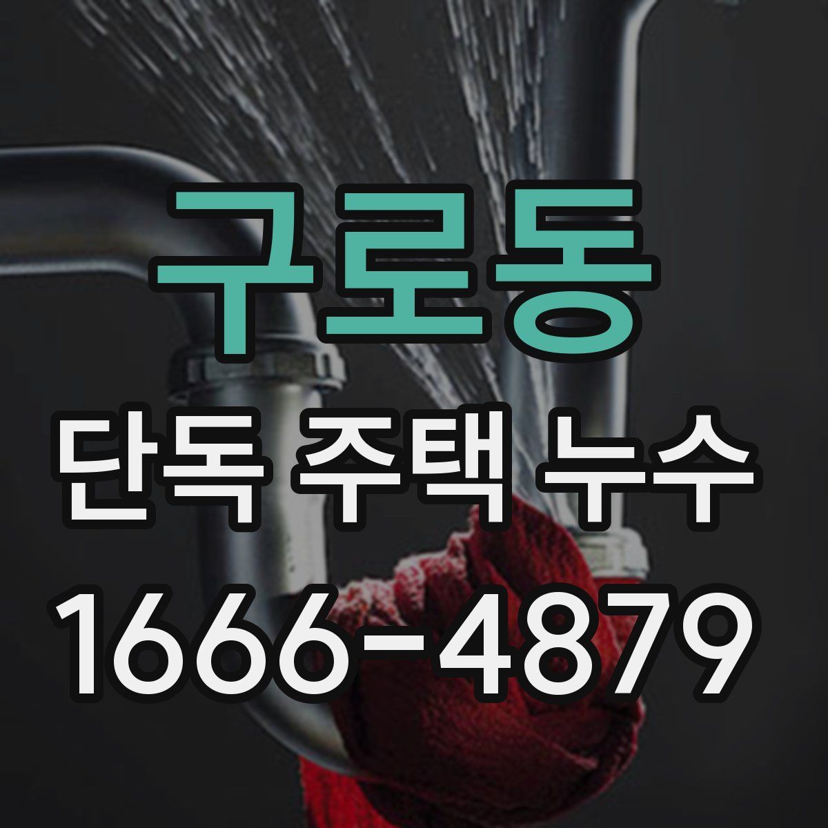 구로동 단독 주택 누수