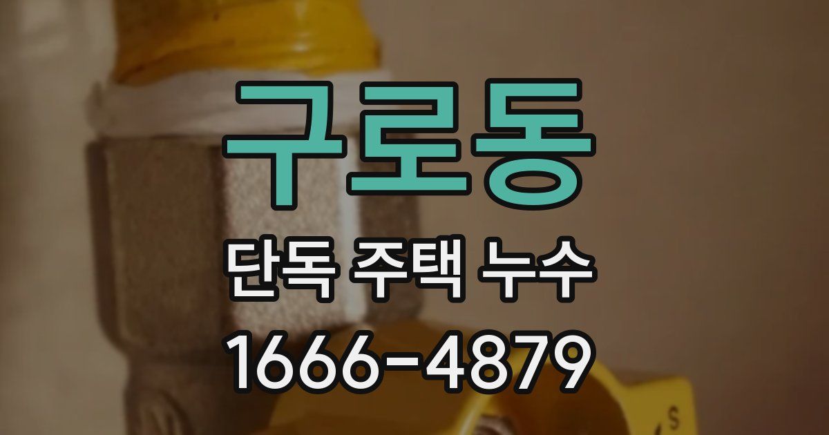 구로동 단독 주택 누수