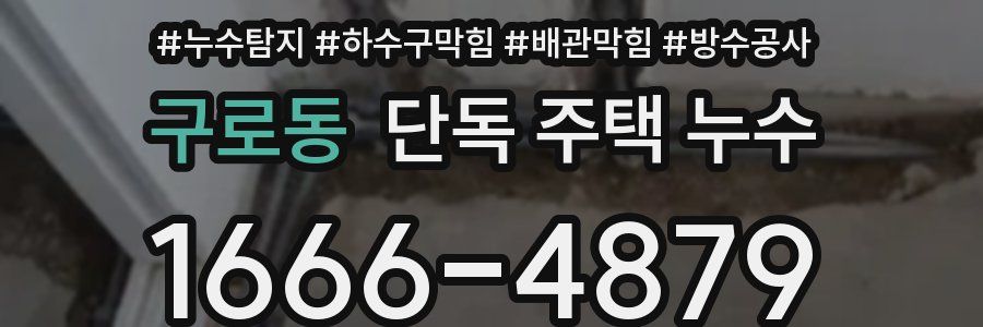 구로동 단독 주택 누수