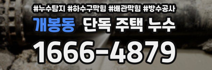 개봉동 단독 주택 누수