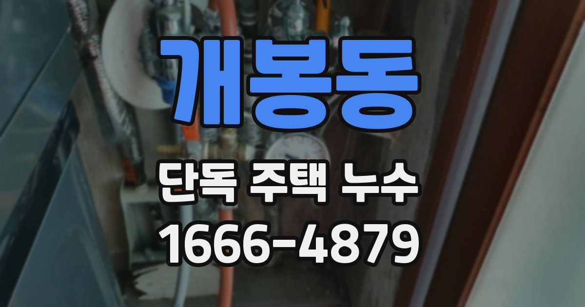 개봉동 단독 주택 누수