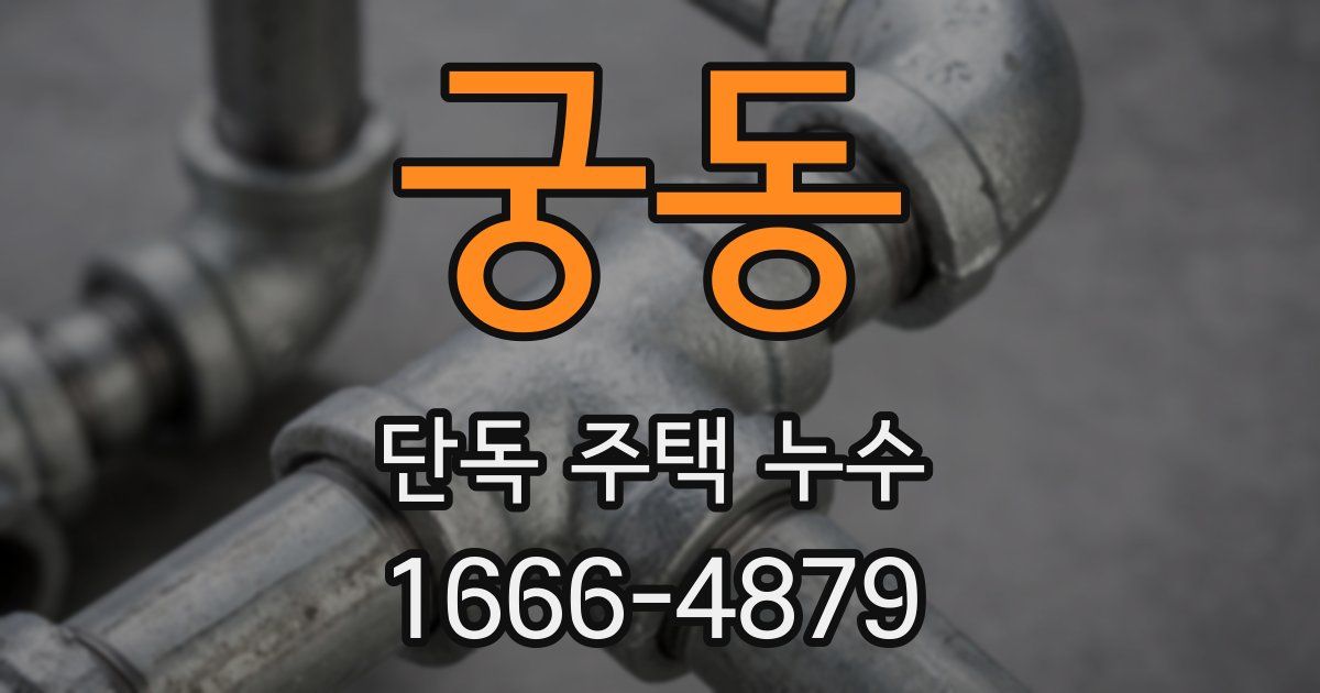 궁동 단독 주택 누수