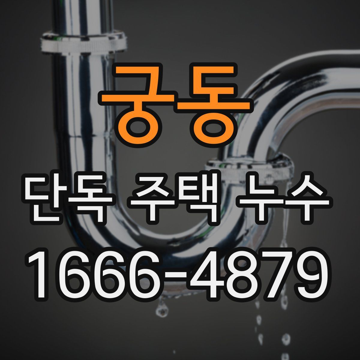 궁동 단독 주택 누수