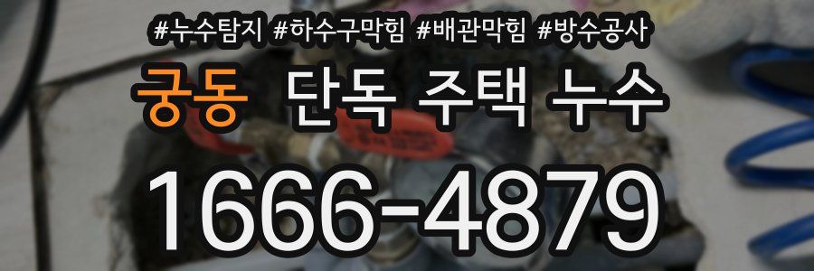 궁동 단독 주택 누수