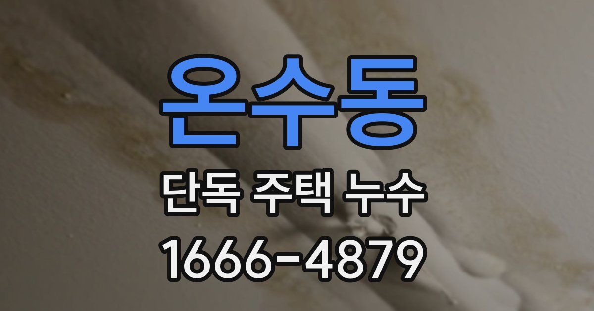 온수동 단독 주택 누수