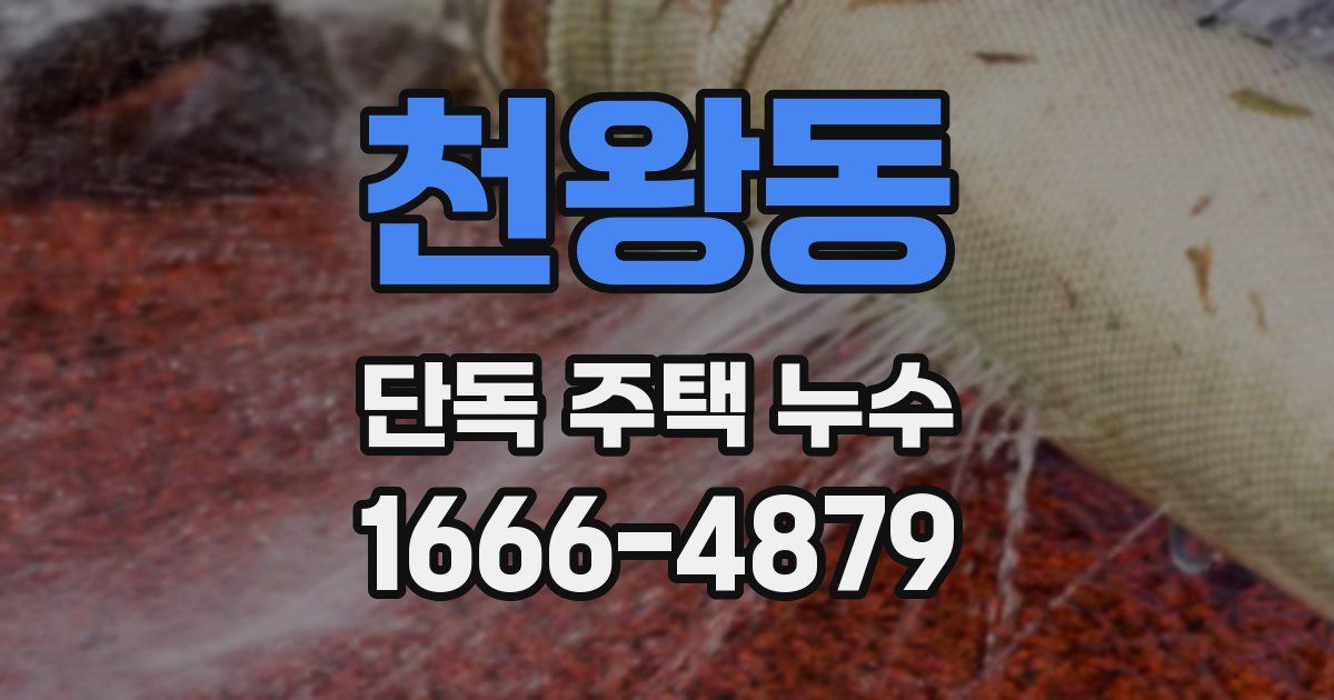 천왕동 단독 주택 누수