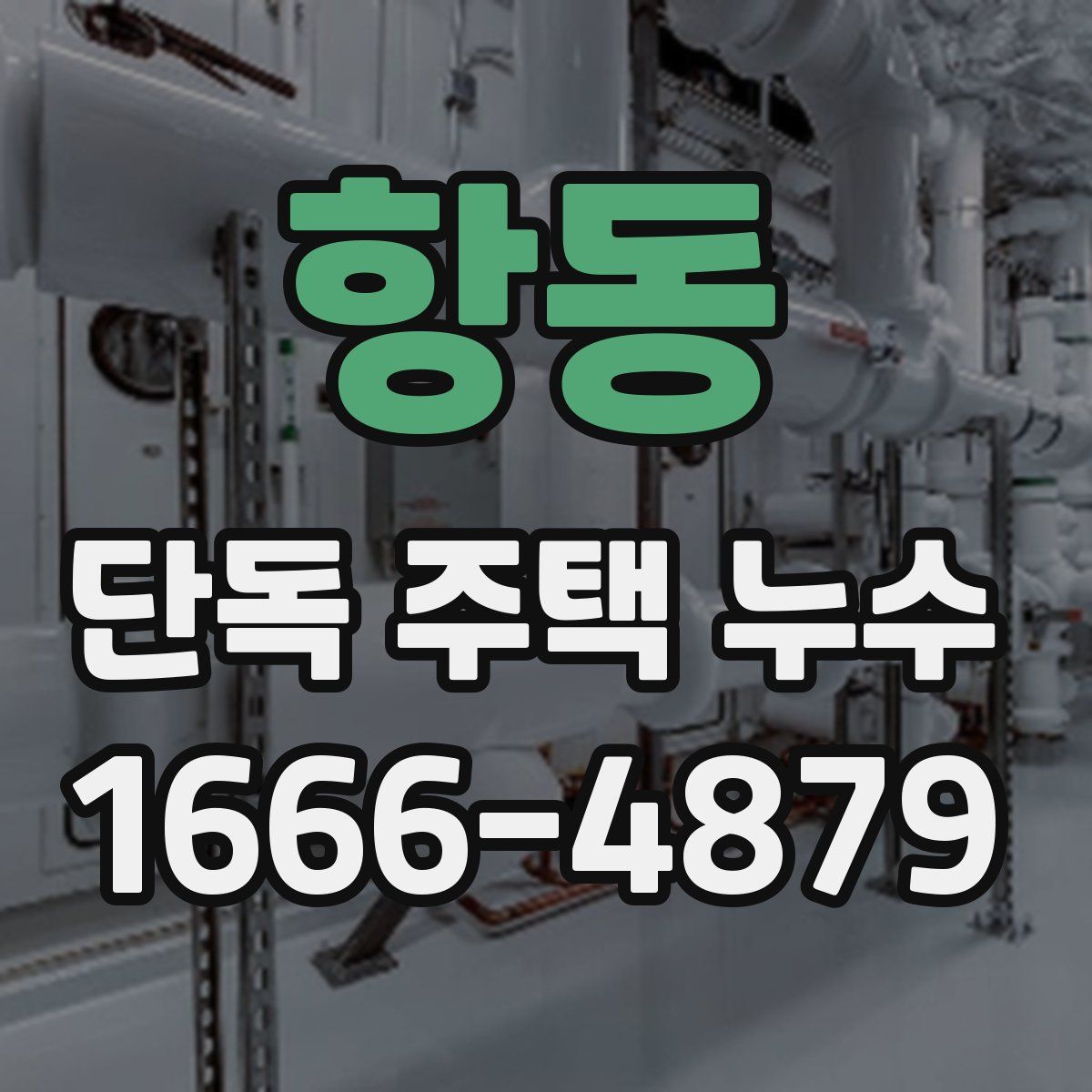 항동 단독 주택 누수