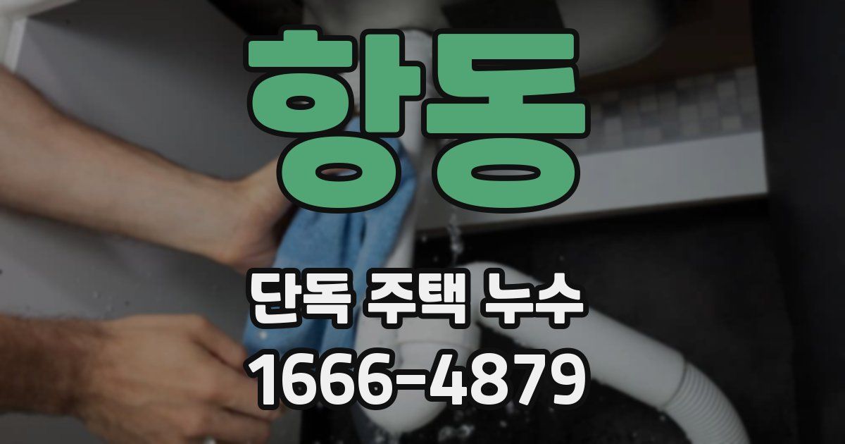 항동 단독 주택 누수