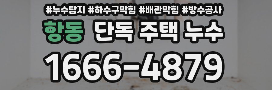 항동 단독 주택 누수