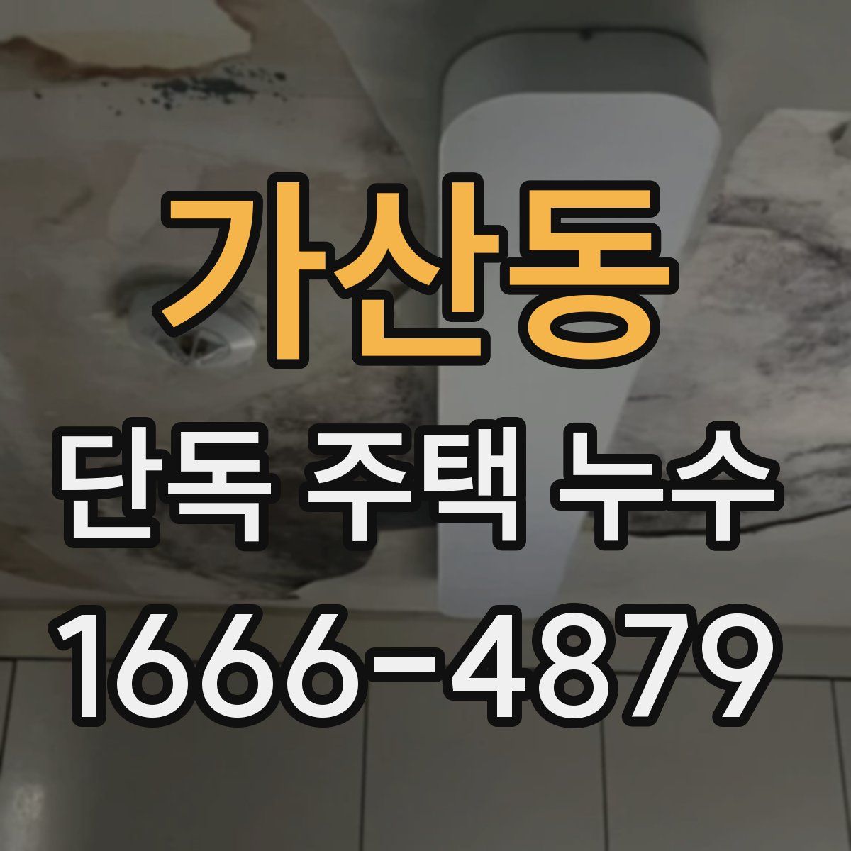가산동 단독 주택 누수