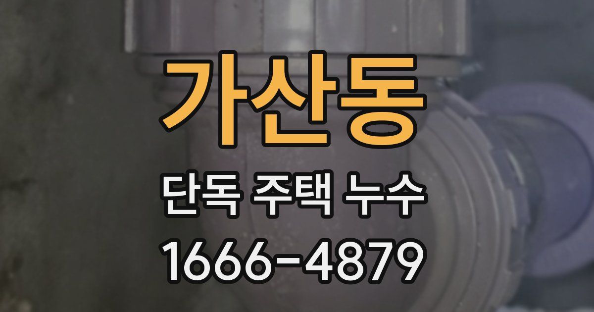 가산동 단독 주택 누수