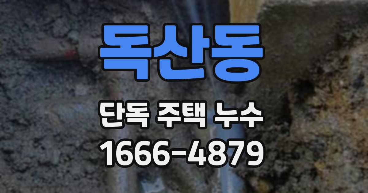 독산동 단독 주택 누수