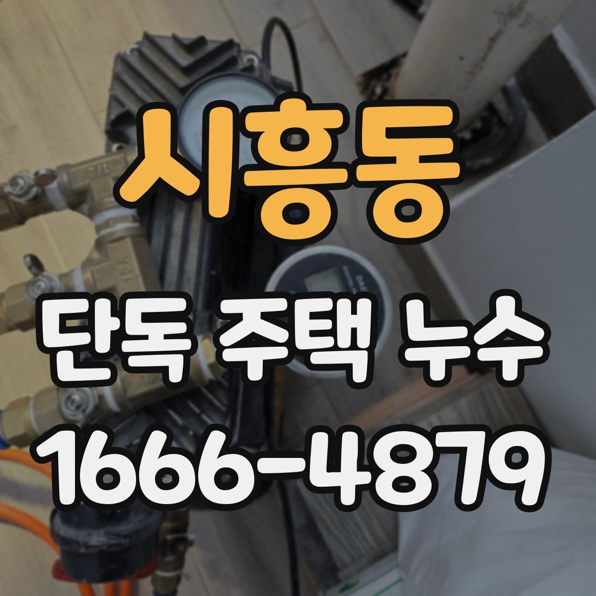 시흥동 단독 주택 누수